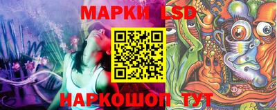 индика Можайск