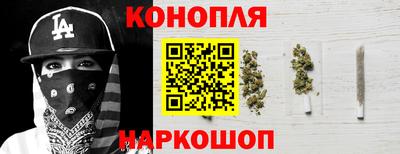 индика Можайск