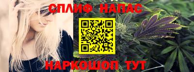 индика Можайск